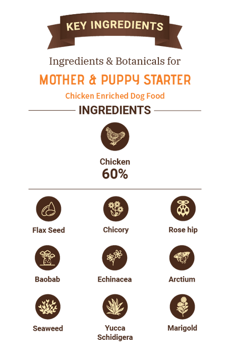 Brunos Wild Essentials Mother and Puppy Low Grain Chicken Starter Dog Food - Ofypets