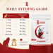 Canine Crown Premium Persian Adult Food - Ofypets