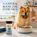 Canine Crown Anchovy Fish Powder - Ofypets