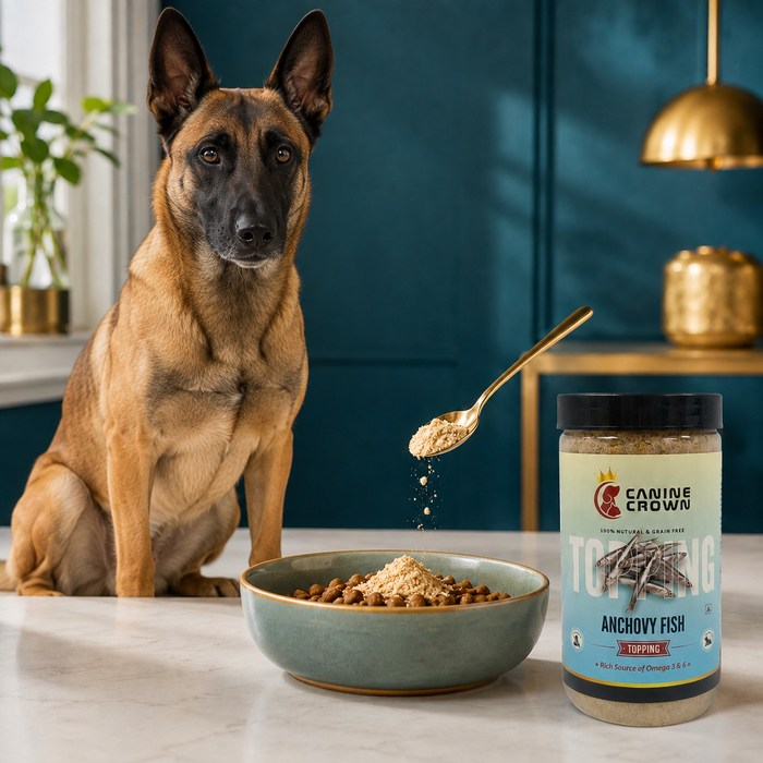 Canine Crown Anchovy Fish Powder - Ofypets