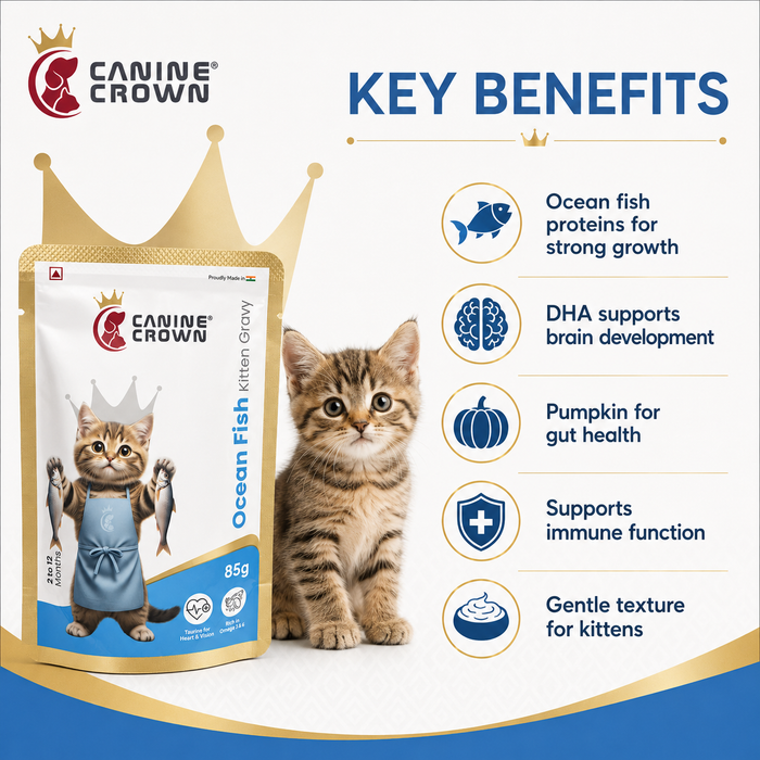 Canine Crown Ocean Fish Kitten Gravy - Ofypets
