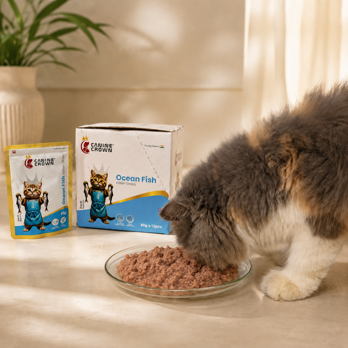 Canine Crown Ocean Fish Kitten Gravy - Ofypets