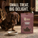 Canine Crown Soft Chicken Tenders - Ofypets