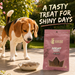 Canine Crown Soft Shrimp Slice - Ofypets
