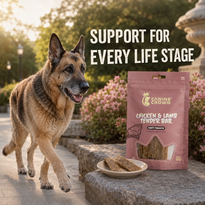 Canine Crown Soft Chicken & Lamb Tender Bar - Ofypets