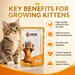 Canine Crown chicken kitten Gravy - Ofypets