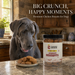 Canine Crown Premium Chicken Biscuits - Ofypets