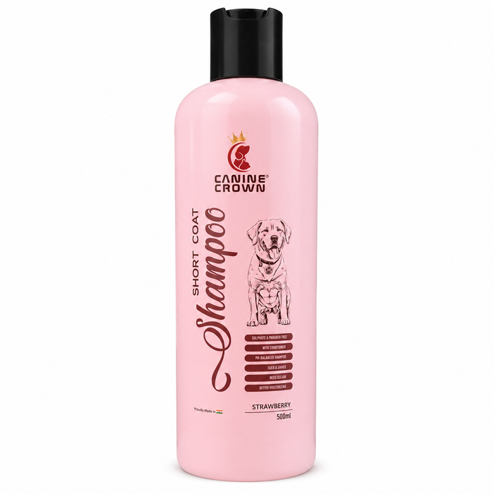 Canine Crown Short Coat Shampoo - Ofypets