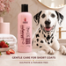 Canine Crown Short Coat Shampoo - Ofypets