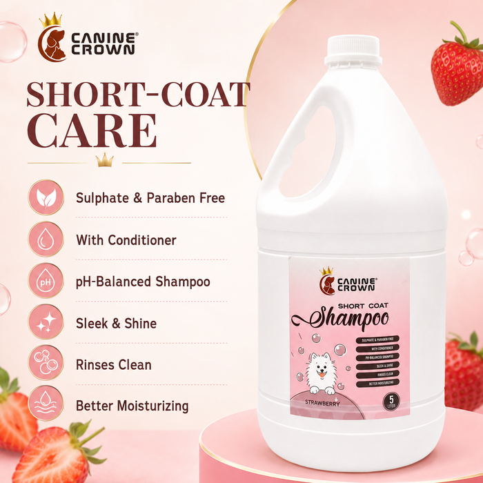 Canine Crown Short Coat Shampoo - Ofypets