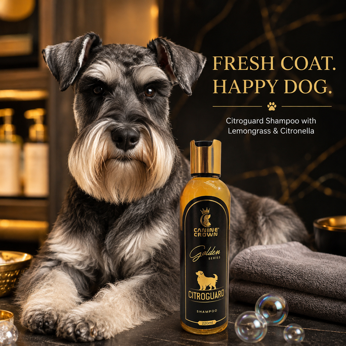 Canine Crown Golden Series Citroguard Shampoo - Ofypets