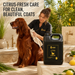 Canine Crown Golden Series Citroguard Shampoo - Ofypets