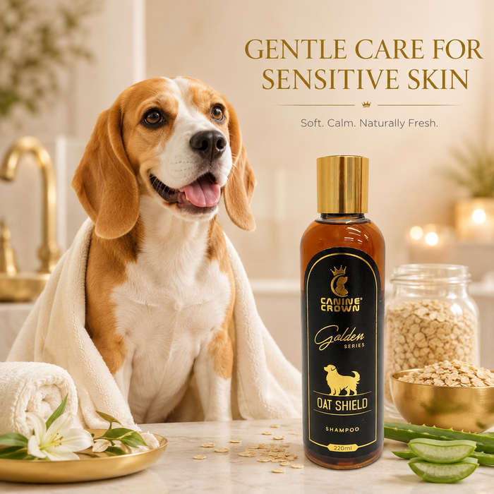 Canine Crown Golden Series Oat Shield Shampoo - Ofypets