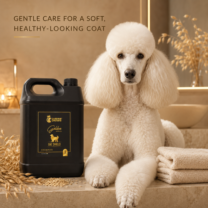 Canine Crown Golden Series Oat Shield Shampoo - Ofypets