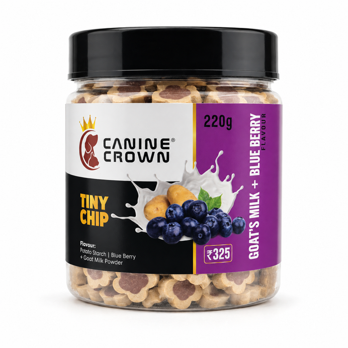 Canine Crown Tiny Chip Goats Milk and Blueberry - Ofypets