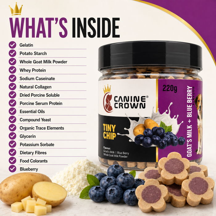 Canine Crown Tiny Chip Goats Milk and Blueberry - Ofypets