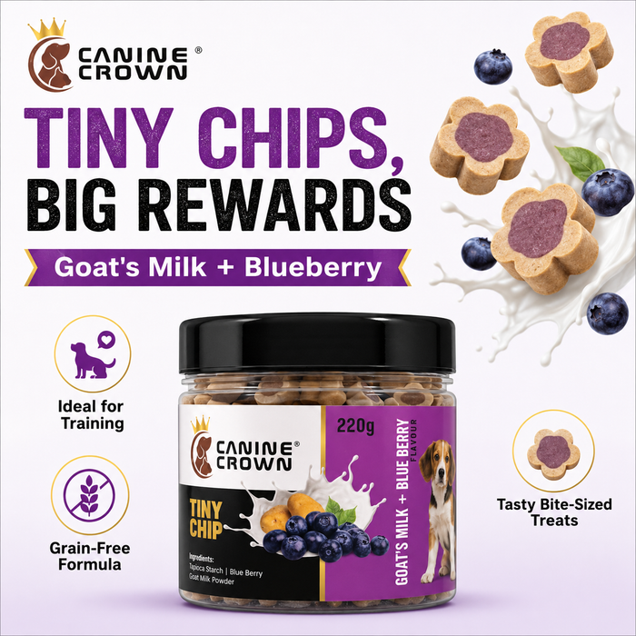 Canine Crown Tiny Chip Goats Milk and Blueberry - Ofypets