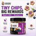 Canine Crown Tiny Chip Goats Milk and Blueberry - Ofypets