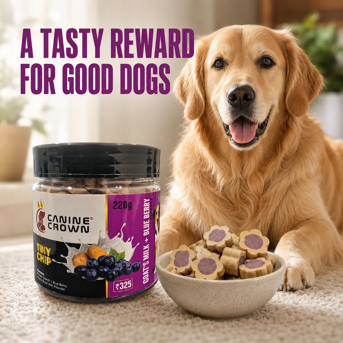 Canine Crown Tiny Chip Goats Milk and Blueberry - Ofypets