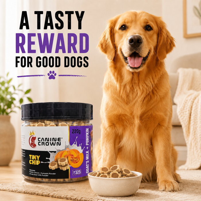 Canine Crown Tiny Chip Goats Milk and Pumpkin - Ofypets