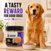 Canine Crown Tiny Chip Goats Milk and Pumpkin - Ofypets
