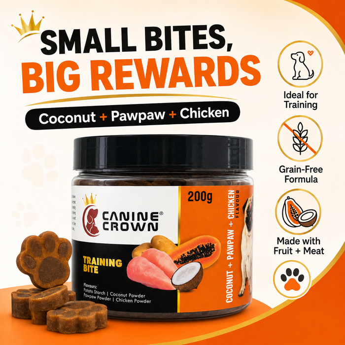 Canine Crown Training Bite Coconut and Pawpaw and Chicken - Ofypets