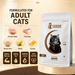 Canine Crown Premium Adult Food - Ofypets