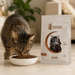 Canine Crown Premium Adult Food - Ofypets