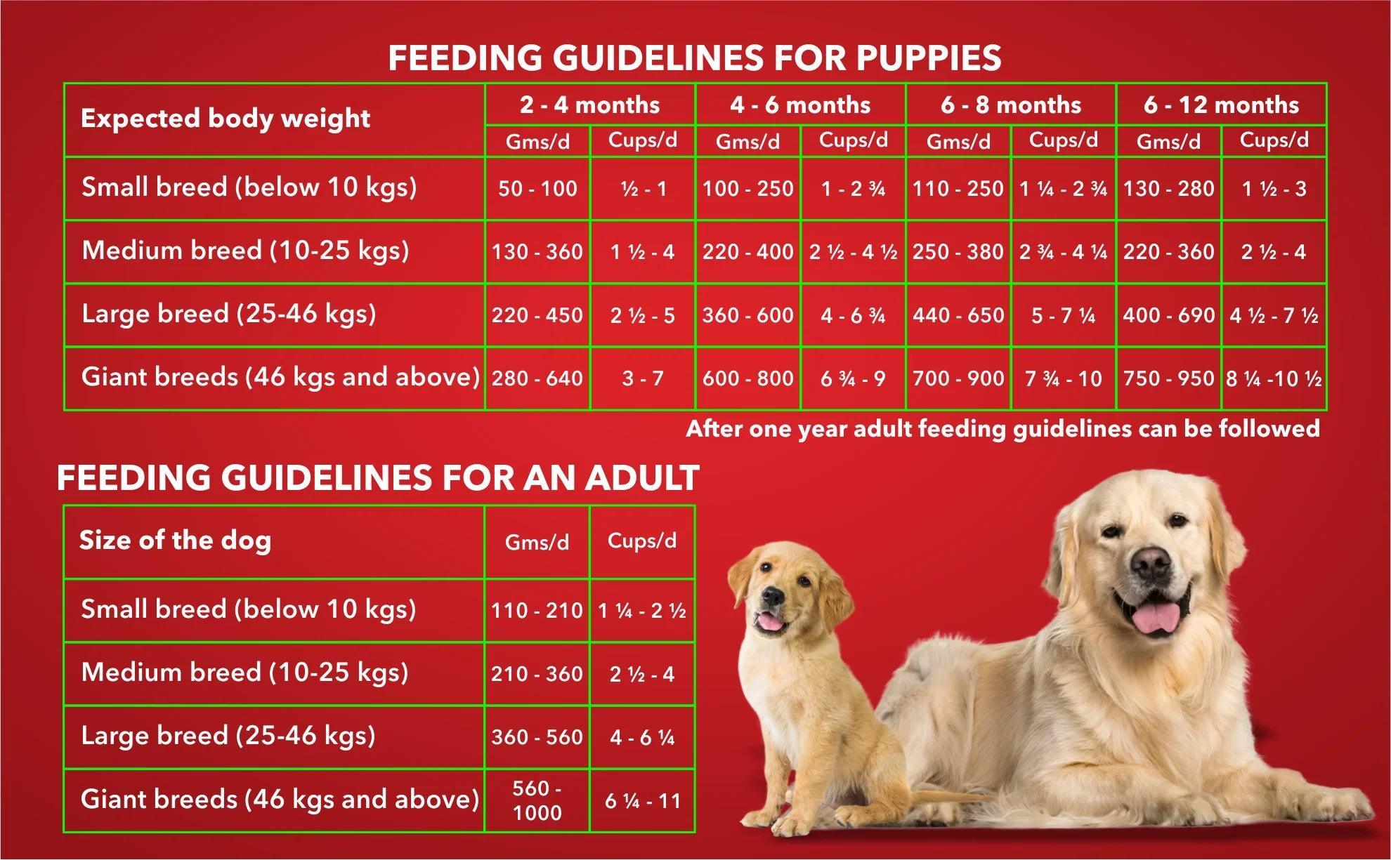 Drools veg dog food online