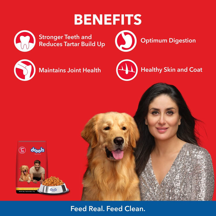 Drools Chicken And Egg Adult Dog Food - Ofypets