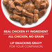 Drools Real Chicken & Chicken Liver Chunks in Gravy for Puppy Wet Food - Ofypets