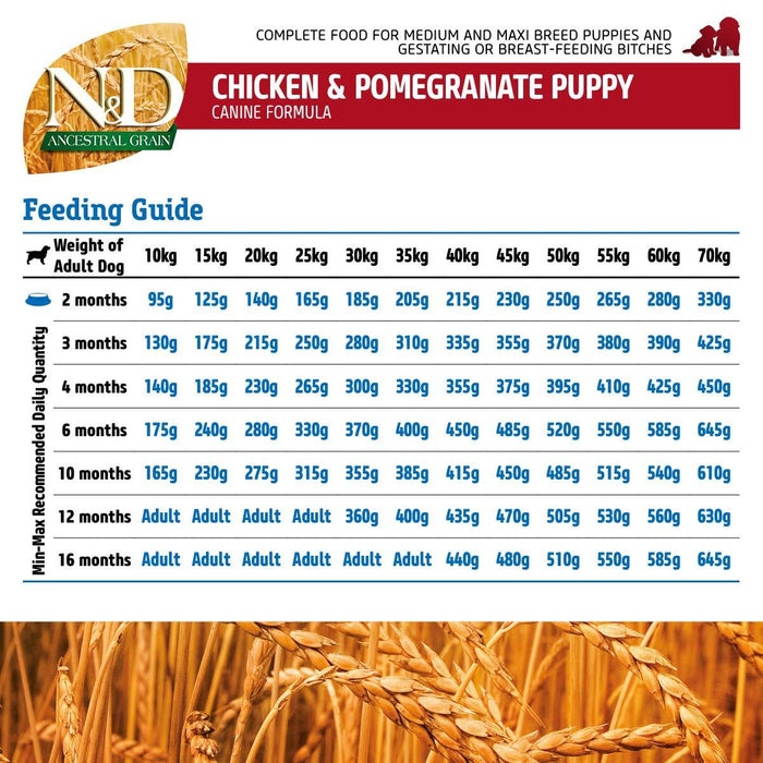 Farmina N&D Ancestral Grain Chicken And Pomegranate Medium and Maxi Puppy Dog Food - Ofypets