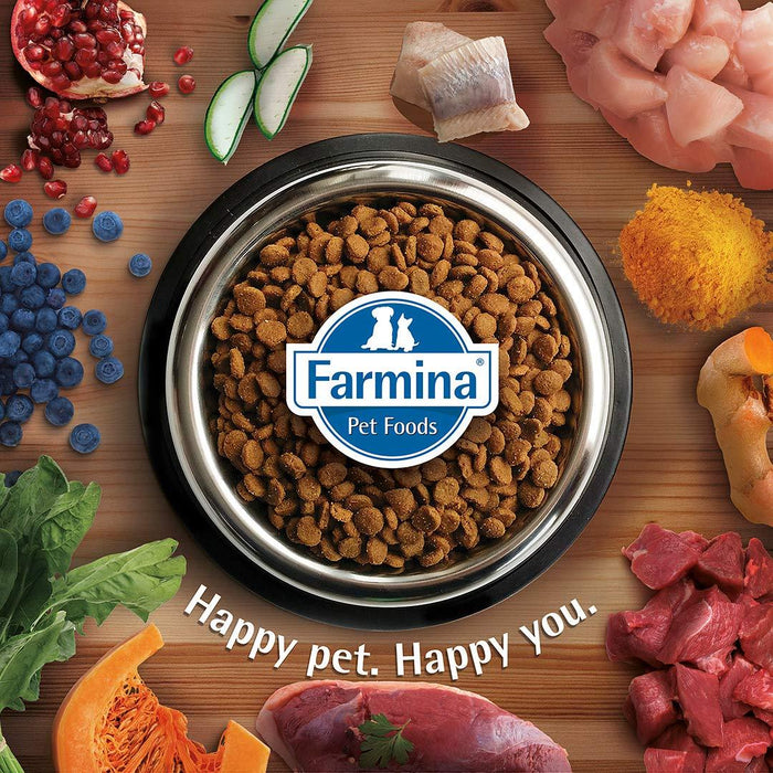 Farmina N&D Ocean Grain Free Herring And Orange Cat Food - Ofypets