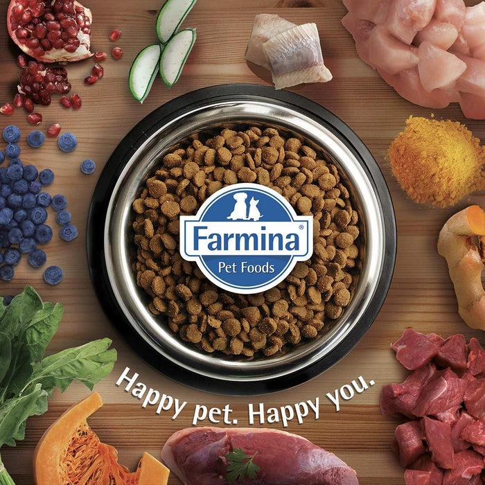 Farmina N&D Pumpkin Grain Free Lamb And Blueberry Mini Adult Dog Food - Ofypets
