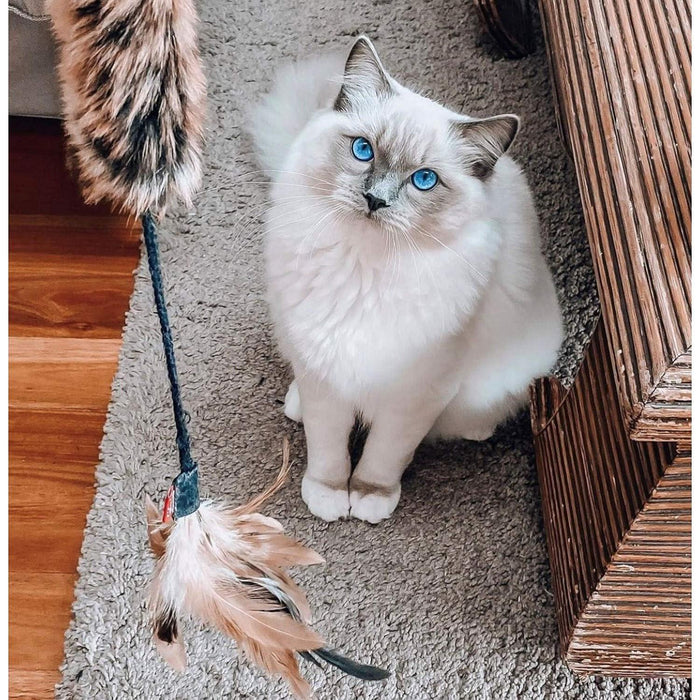 GiGwi Feather Teaser Cat Stick Toy - Ofypets