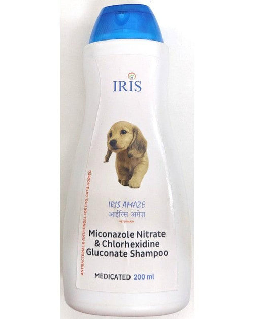 Iris Amaze Medicated Shampoo for Dogs and Cats - Ofypets