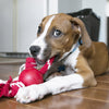 KONG Ball with Rope Dog Toy - Ofypets