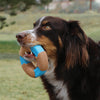KONG Core Strength Bamboo Ring Dog Chew Toy - Ofypets