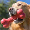 KONG Goodie Bone Dog Chew Toy - Ofypets