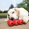 KONG Goodie Ribbon Dog Chew Toy - Ofypets