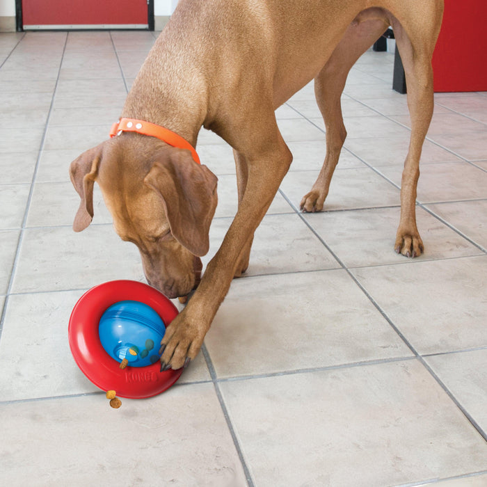 KONG Gyro Dog Toy - Ofypets