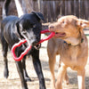 KONG Tug Dog Toy - Ofypets