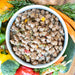 Little BigPaw Turkey with Broccoli Grain Free Dog Wet Food - Ofypets