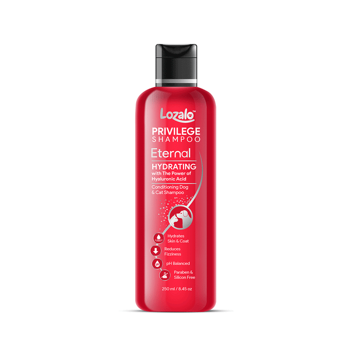 Lozalo Privilege Conditioning Shampoo for Dogs and Cats - Ofypets