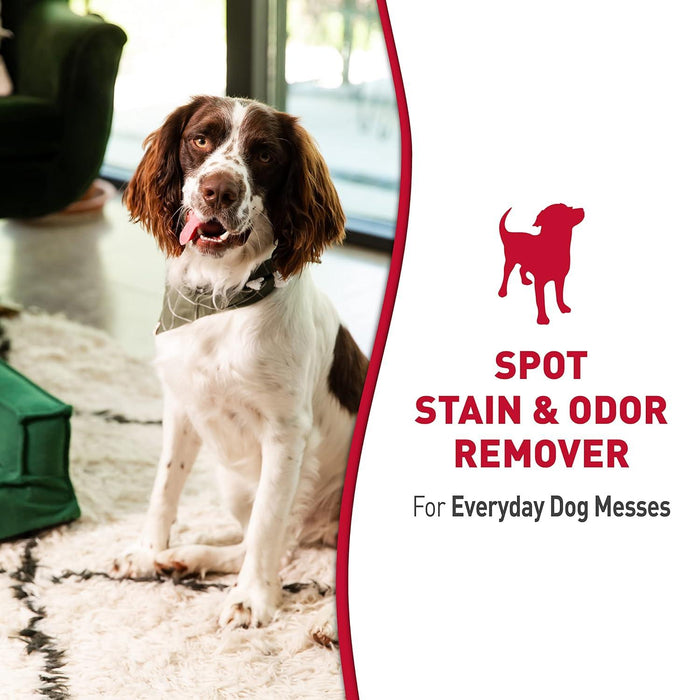 Nature's Miracle Dog Stain and Odor Remover Spray - Ofypets