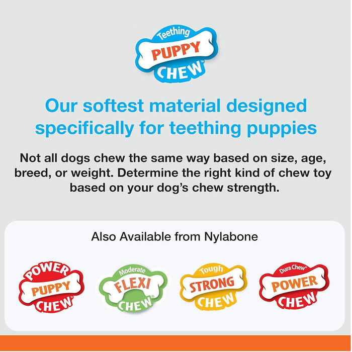 Nylabone Chicken Flavored Bone Puppy Teething Chew Toy - Ofypets