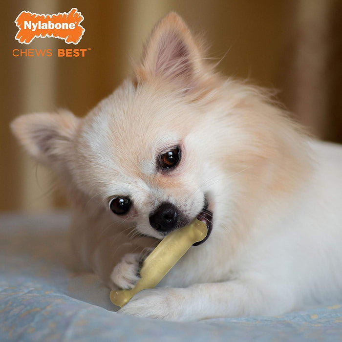 Nylabone Puppy Flexi Chew Triple Pack Bone Teething Toy - Ofypets