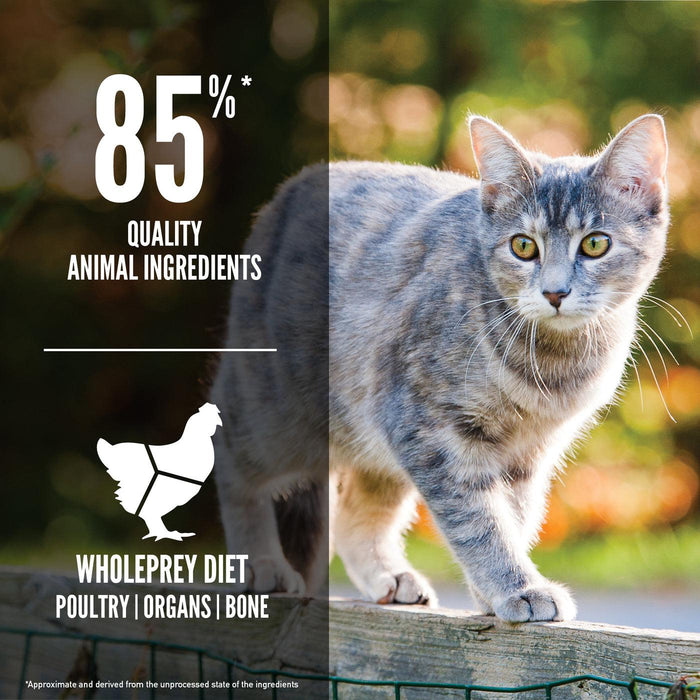 Orijen Original Cat Food - Ofypets