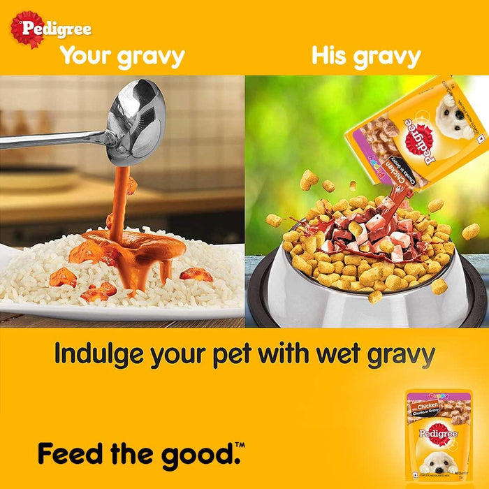 Pedigree Chicken Chunks Puppy Gravy Wet Food - Ofypets