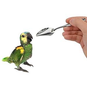 Petslife Hand Feeding Formula Bird Food - Ofypets
